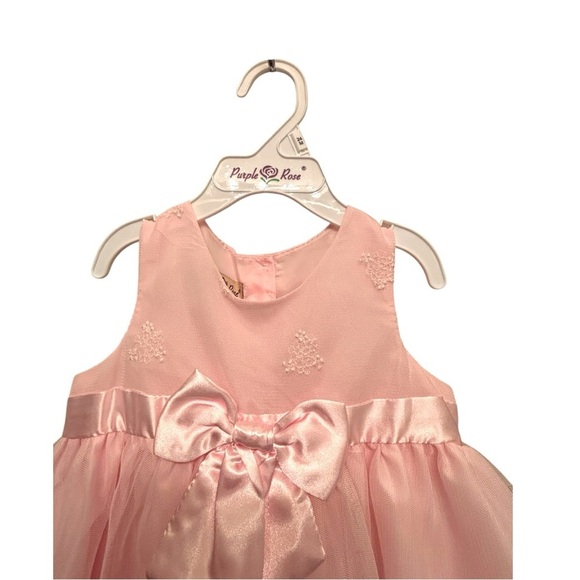 NWT 24mo Embroidered pink Purple Rose dress. Dsct w 2+ bundle. - Picture 4 of 10